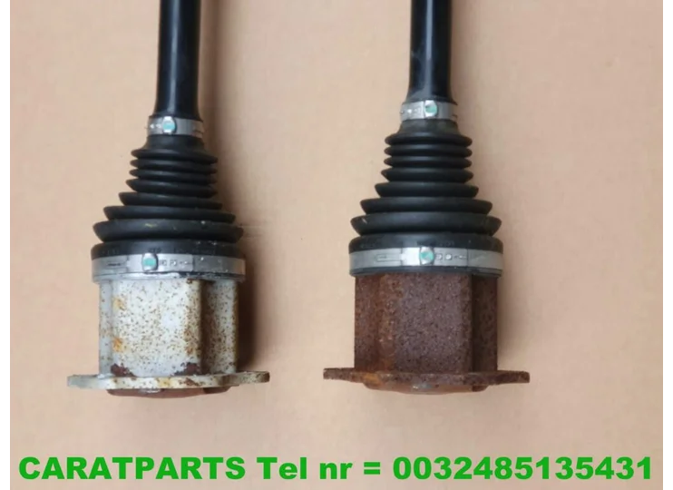 advertisement-image
