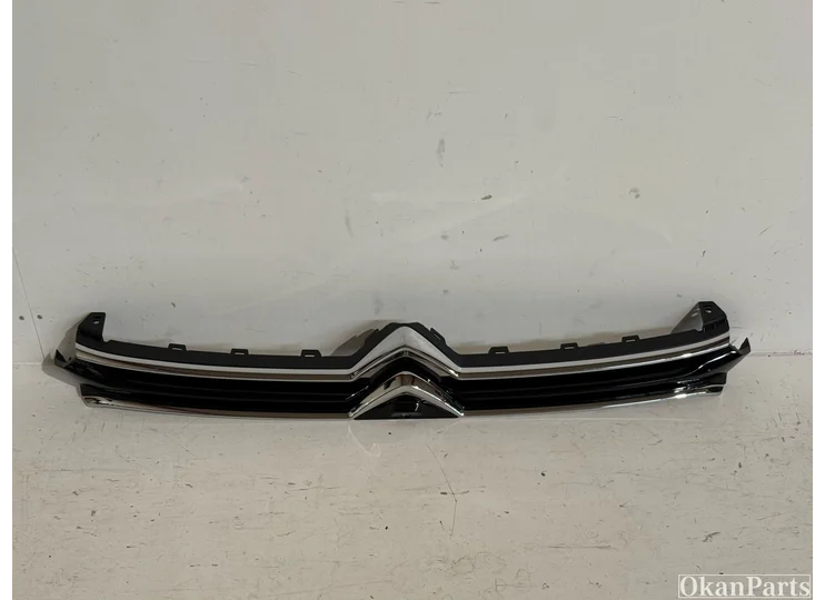 Citroen C5 X Grille 9839735180