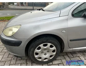 peugeot-307-grijs-eza-links-voorscherm-2001-2009