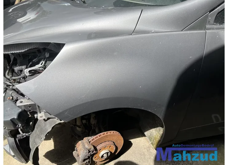 RENAULT GRAND SCENIC 3 GRIJS TEKNG links voorscherm 2009-2016