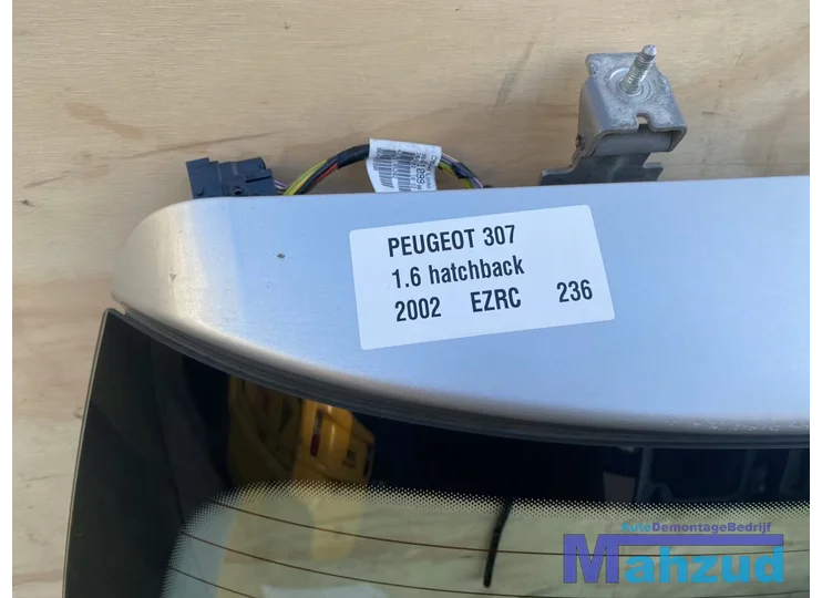 peugeot-307-hatchback-zilver-ezrc-achterklep-20002009