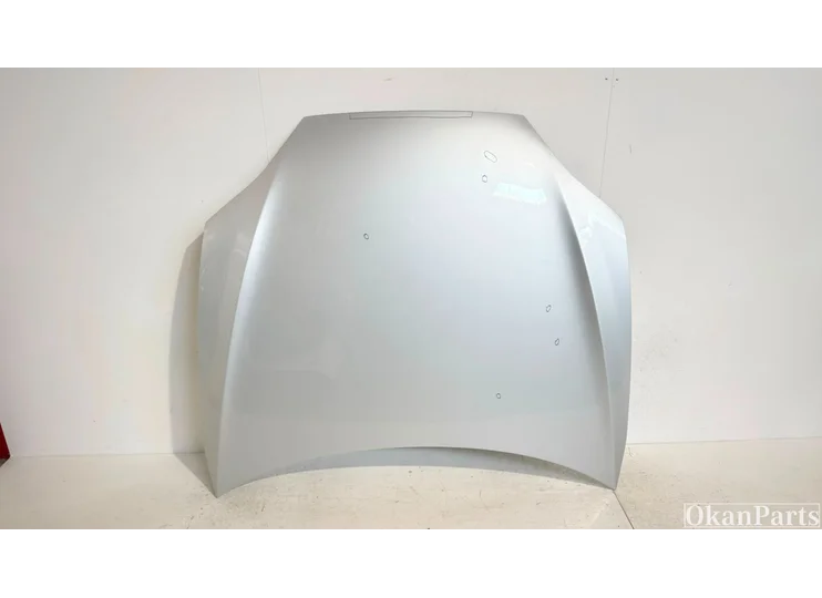 Motorhaube des Tesla Model S