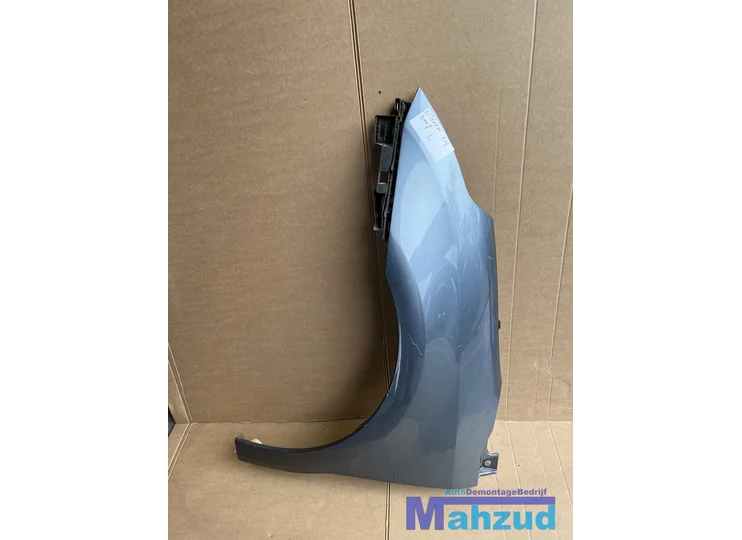 CITROEN C4 Grijs links scherm zijscherm 2007