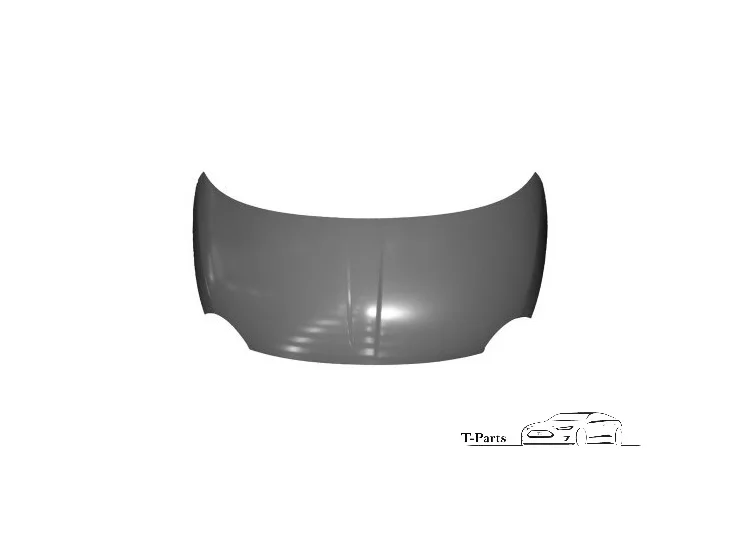 Fiat 500 new hood