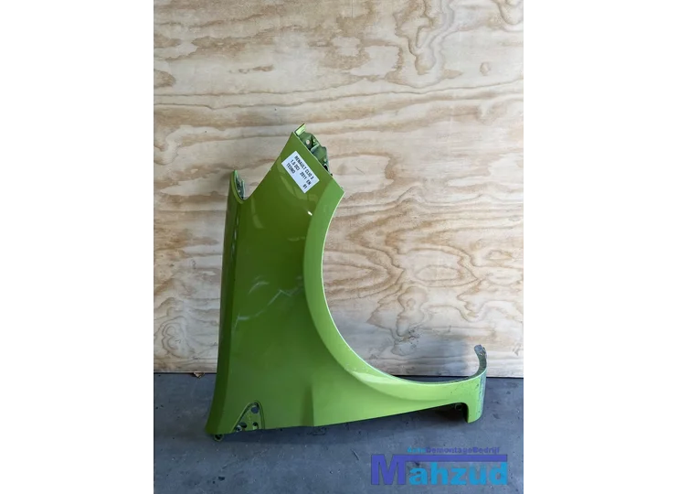 RENAULT CLIO 3 Groen TEDNO TEDN0 rechts voorscherm 2010-2014