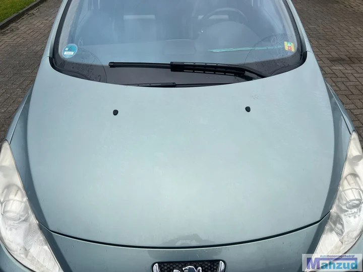 peugeot-307-sw-facelift-licht-groen-ezsd-motorkap-20022009