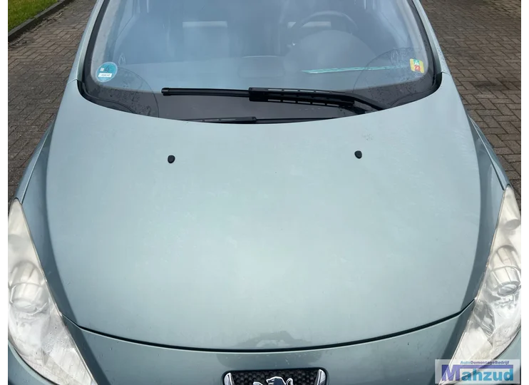 PEUGEOT 307 SW Facelift Hellgrüne EZSD-Motorhaube 2002-2009