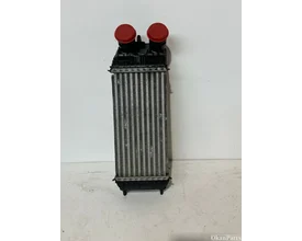 peugeot-citroen-opel-intercooler-9803900780