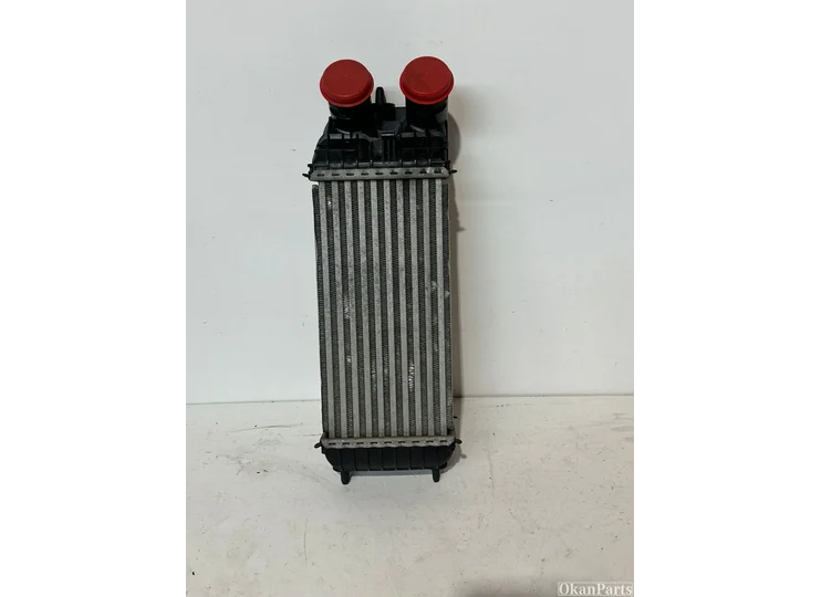 Peugeot Citroen Opel Intercooler 9803900780