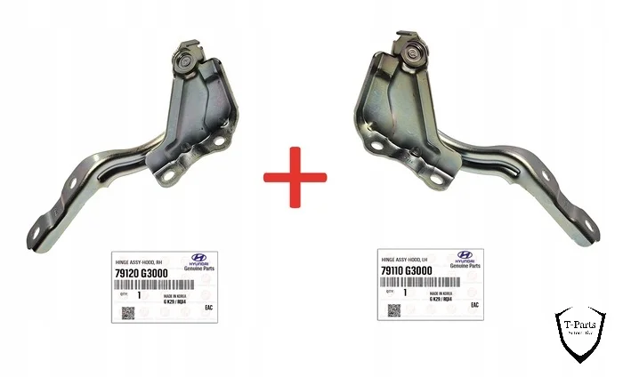 hyundai-i30-schanier-links-rechts-79120g3000-79110g3000