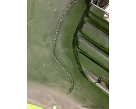 peugeot-expert-voorbumper-bumper — foto 5