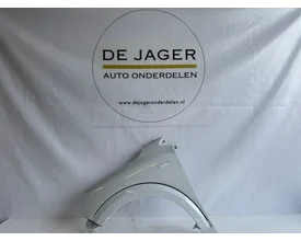 dacia-sandero-2-voorscherm-zijscherm-links-2012
