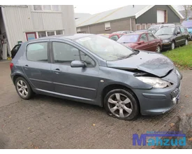 2007-peugeot-307-16-demontage-sloop-87 — foto 7