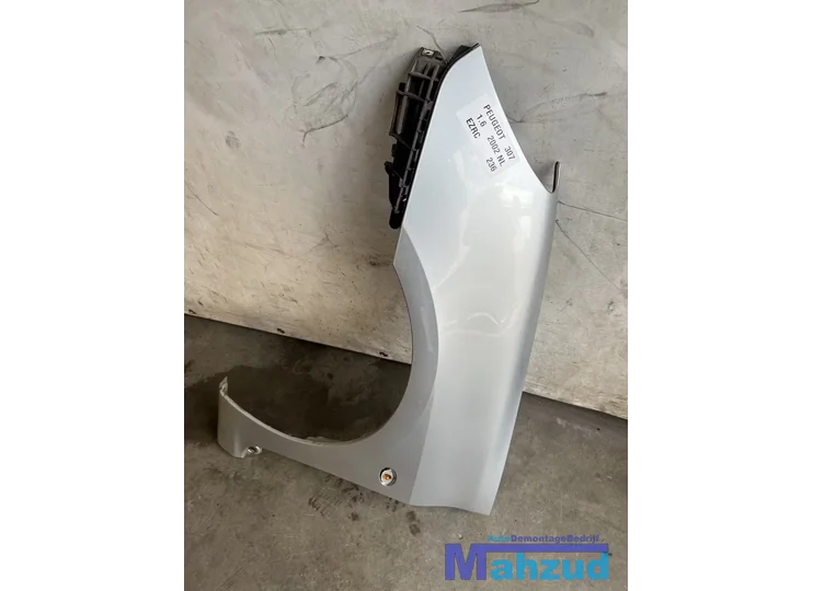 peugeot-307-zilver-ezrc-links-voorscherm-zijscherm-20002009