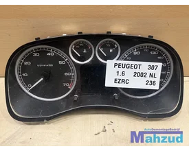peugeot-307-1-6-teller-km-huis-2000-2007