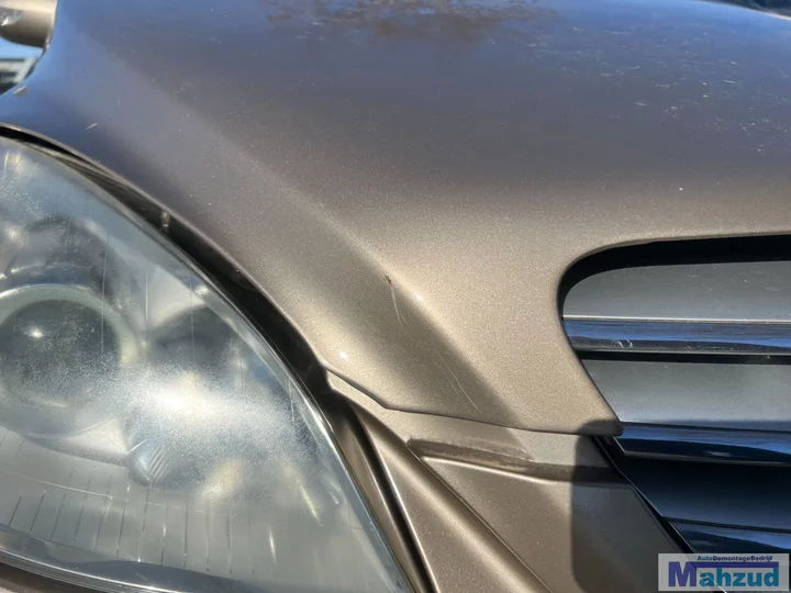 mercedes-b-klasse-w245-brons-791-motorkap-20052011 — foto 4