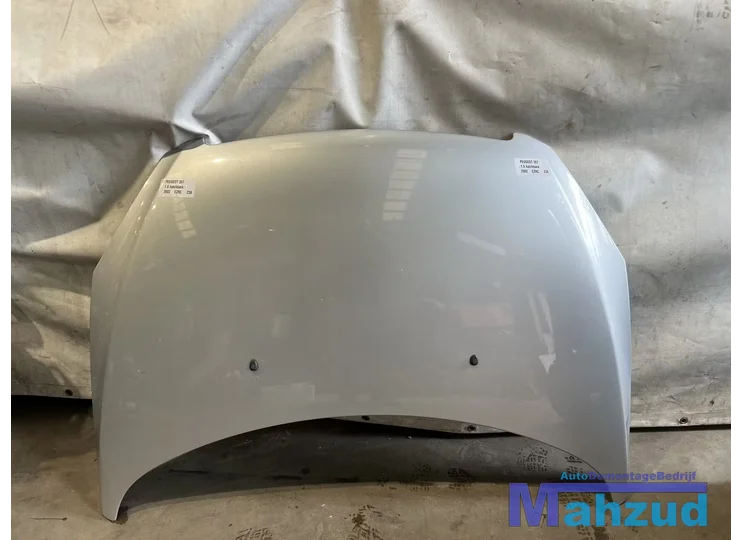 PEUGEOT 307 Hatchback zilver EZRC motorkap 2000-2009