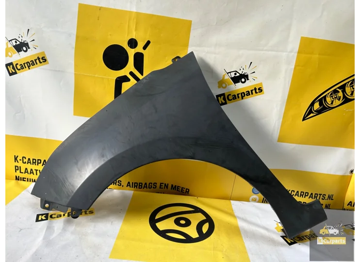 Fender Hyundai I10 Side Panel Left Front Original