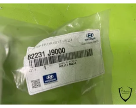 hyundai-kona-raamlijst-82231j9000-82231-j9000 — foto 2
