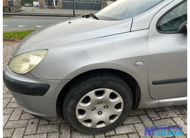 PEUGEOT 307 Grijs EZA Links voorscherm 2001-2009