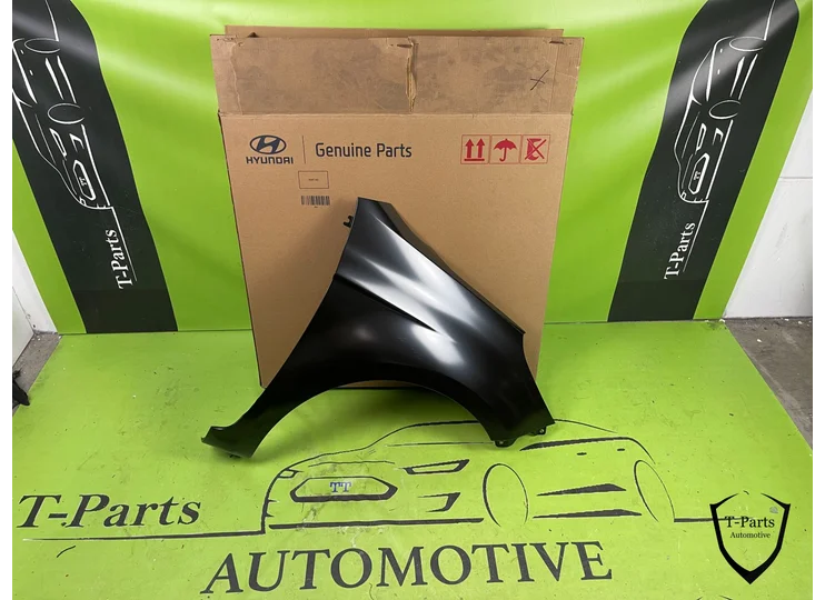 Hyundai i20 rechtes Seitenteil 663211j050 Kotflügel 09-12