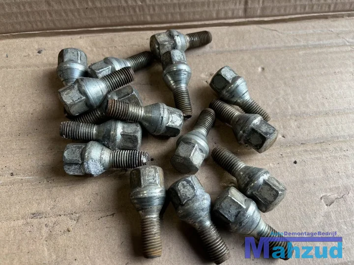 renault-megane-1-wielbouten-set-16-stuks-19992003 — foto 2