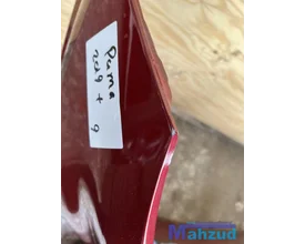 ford-puma-st-line-rood-voorbumper-compleet-2019 — foto 11