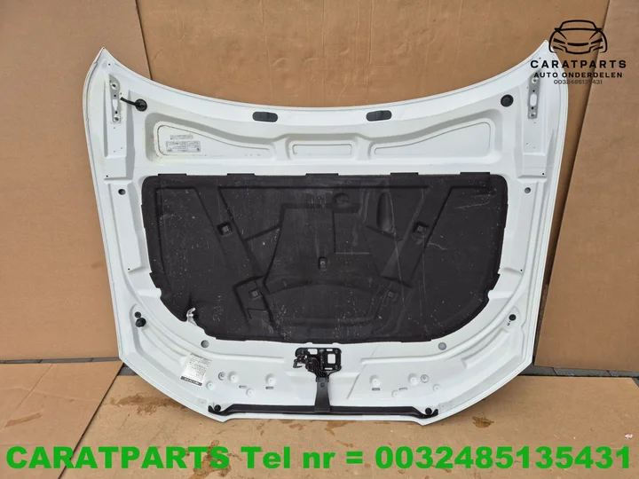audi-a5-snuit-a5-voorkop-a5-front-a5-voorbouw-ls9r-s9r — foto 19