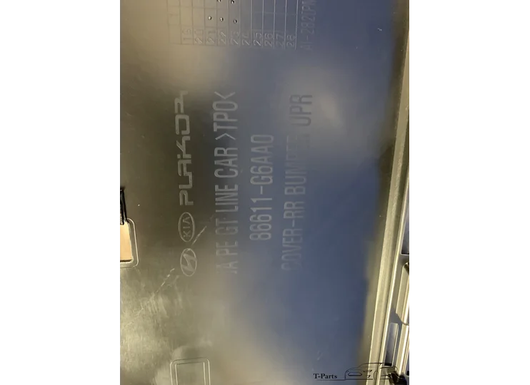 IMG_8425.j_1690756723772.jpeg