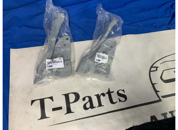 charnières de capot hyundai ioniq 5 66910GI000 66920GI000