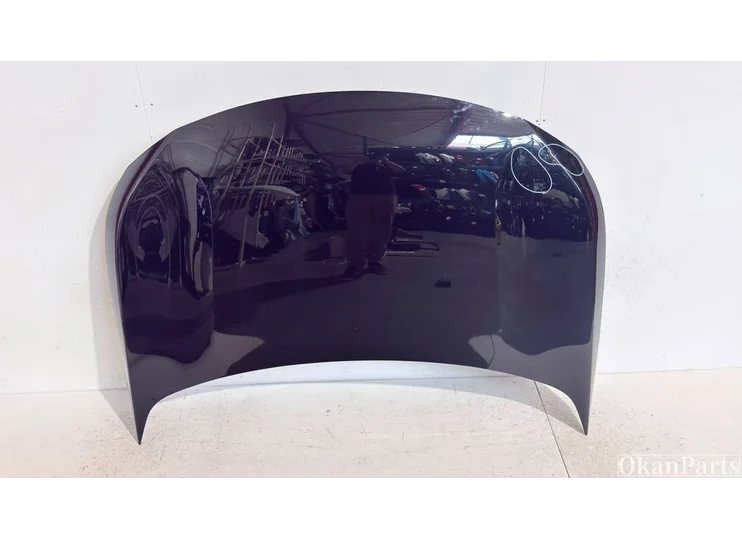 Peugeot 3008 II hood