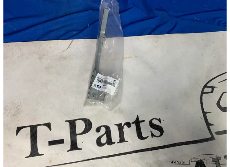 Hyundai Ioniq Seitendeckel rechts 645H2GI000 Halter 64781GI000