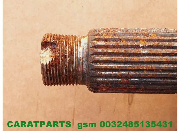 advertisement-image