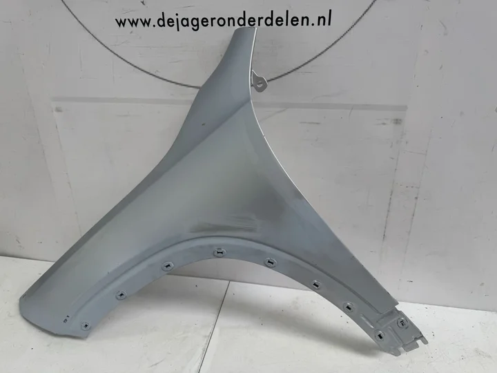 gla-h247-zijscherm-voorscherm-spatbord-links-2020-a247 — foto 2