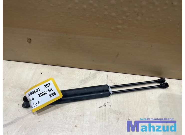 PEUGEOT 307 Hatchback gasveer set 2000-2007
