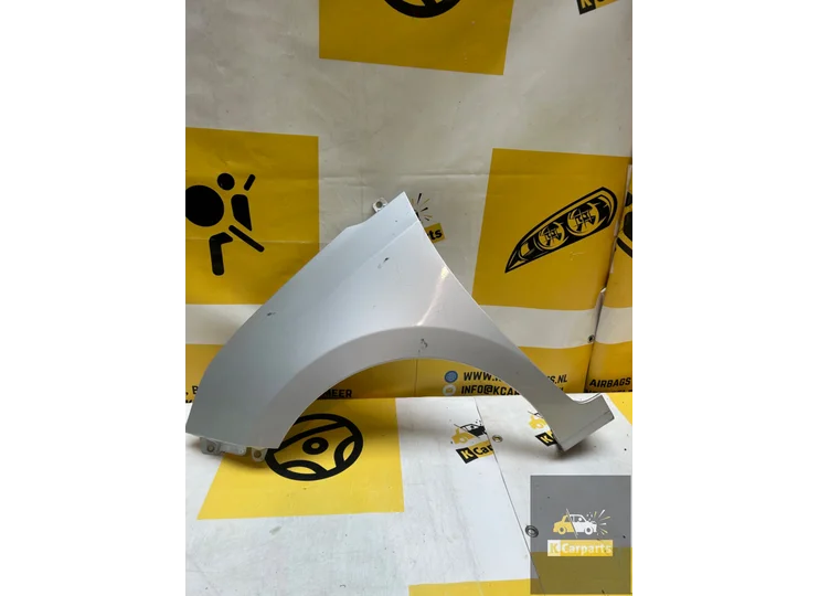 Fender Hyundai I10 Side Panel Left Front Original