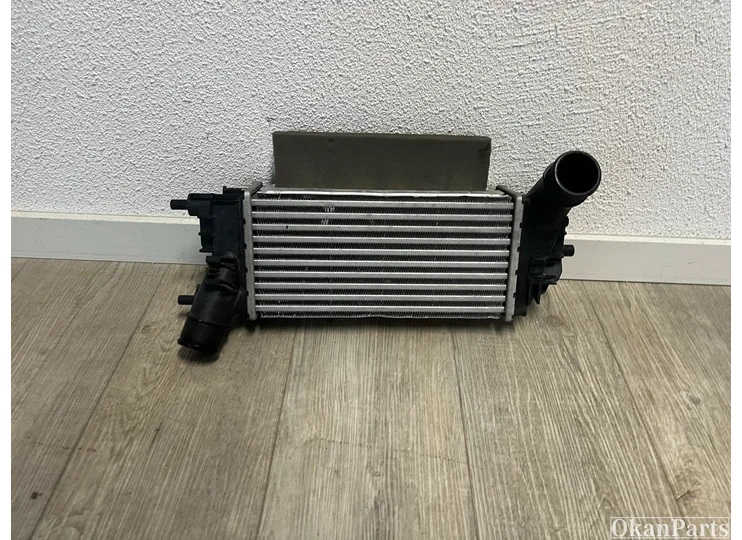 Ford Fiesta Ford Puma intercooler origineel L1BG-6D624-AB