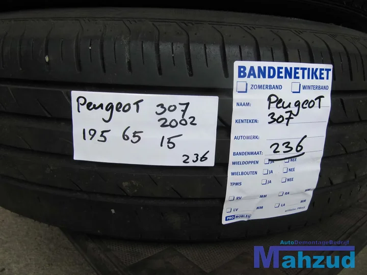 peugeot-307-velgen-banden-195-65-15-inch-4x108 — foto 11
