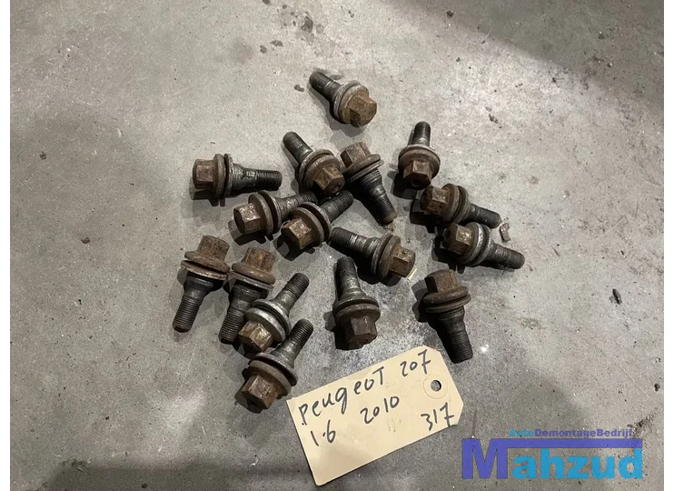 PEUGEOT 207 Wielmoeren wielbouten 2007-2015