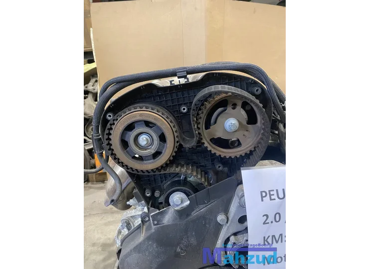 peugeot-307-20-motor-motorblok-rfn-distributie-ketting-gebroken