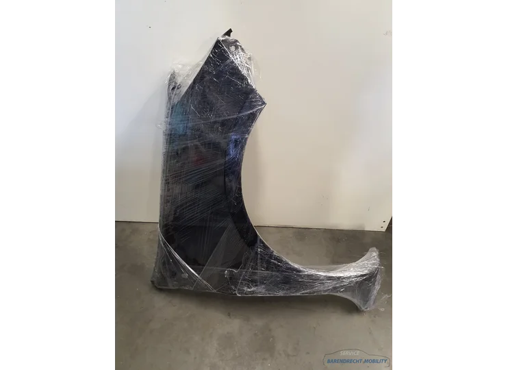 Kotflügel rechts für Renault Clio III 3 676 Noir Nacre schwarz 8200256118 Seitenscheibe RV original gebraucht 2005 / 2013