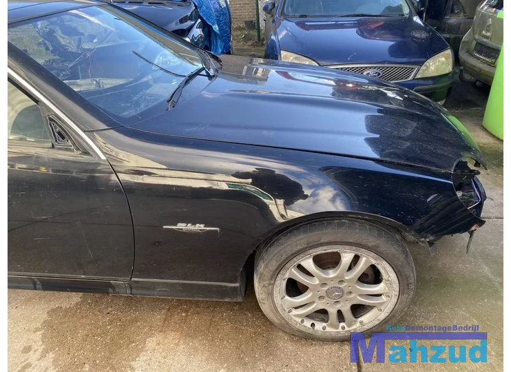 MERCEDES SLK R170 Zwart C197 Rechts voor scherm zijscherm voorscherm
