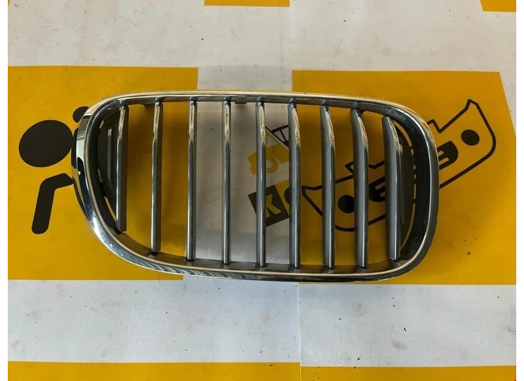 Grill BMW 7 SERIES GRILL 5113 2017+ origineel grill