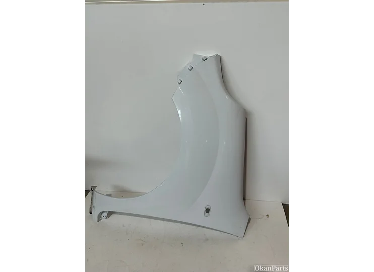 Renault Kangoo II Seitenteil links links 631015870R