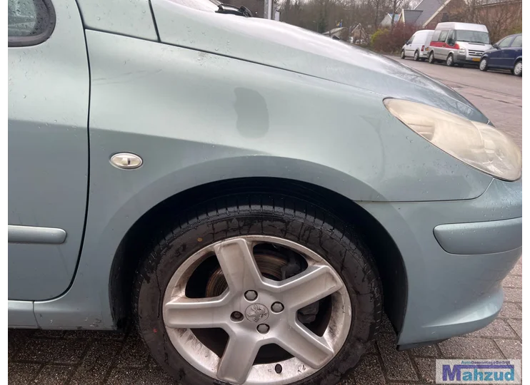 PEUGEOT 307 SW Hellgrün EZSD rechter Kotflügel vorne 2002-2009