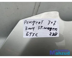 peugeot-307-grijs-etsc-motorkap-20022009 — foto 2