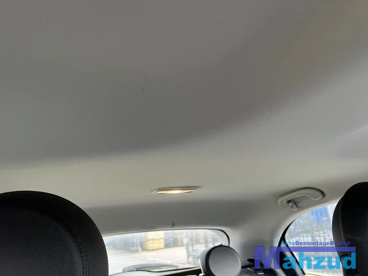 fiat-500x-middensoncole-radio-kachelpaneel-rooster-2014 — foto 6