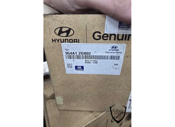 Hyundai kia ecu automaat 954a12d802 tcu