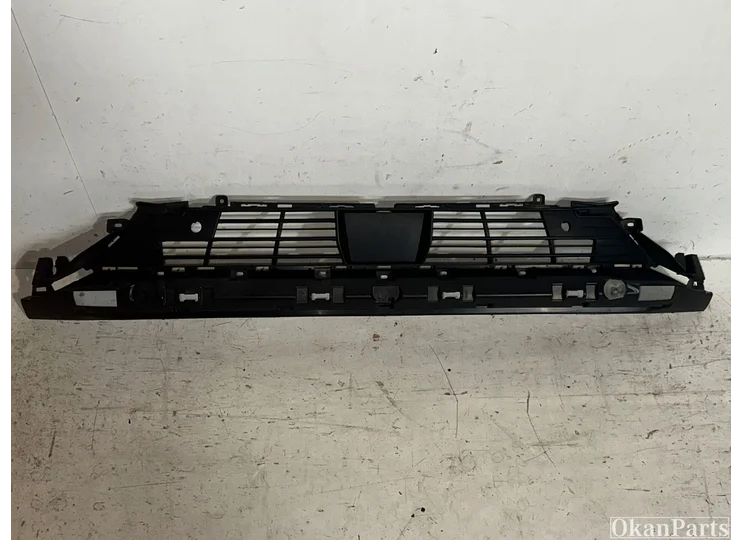 Citroen DS3 unter dem Kühlergrill 9820842580