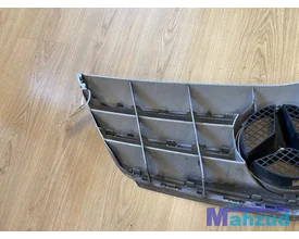 mercedes-bklasse-w245-grille-20052011 — foto 8